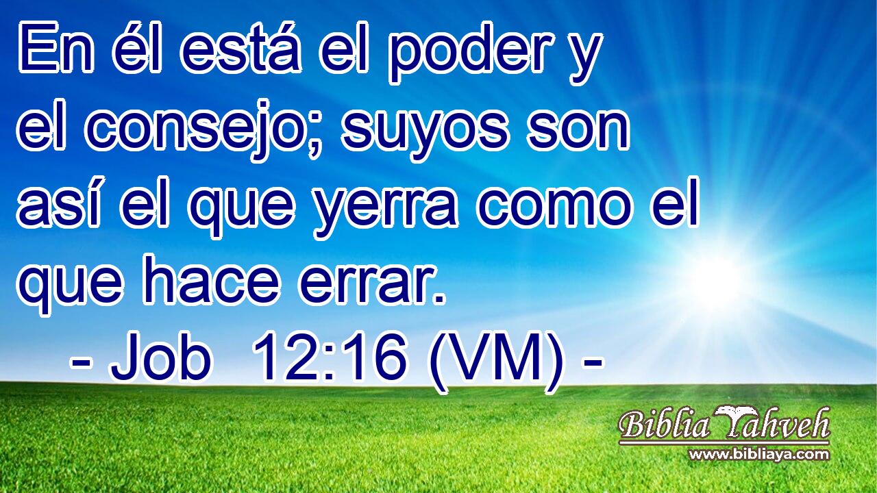  En él está el poder y el consejo; suyos son así el que yerra como el que hace errar. 