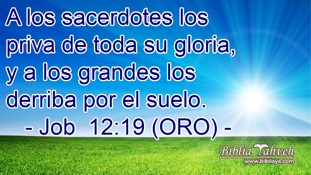  A los sacerdotes los priva de toda su gloria, y a los grandes los derriba por el suelo. 