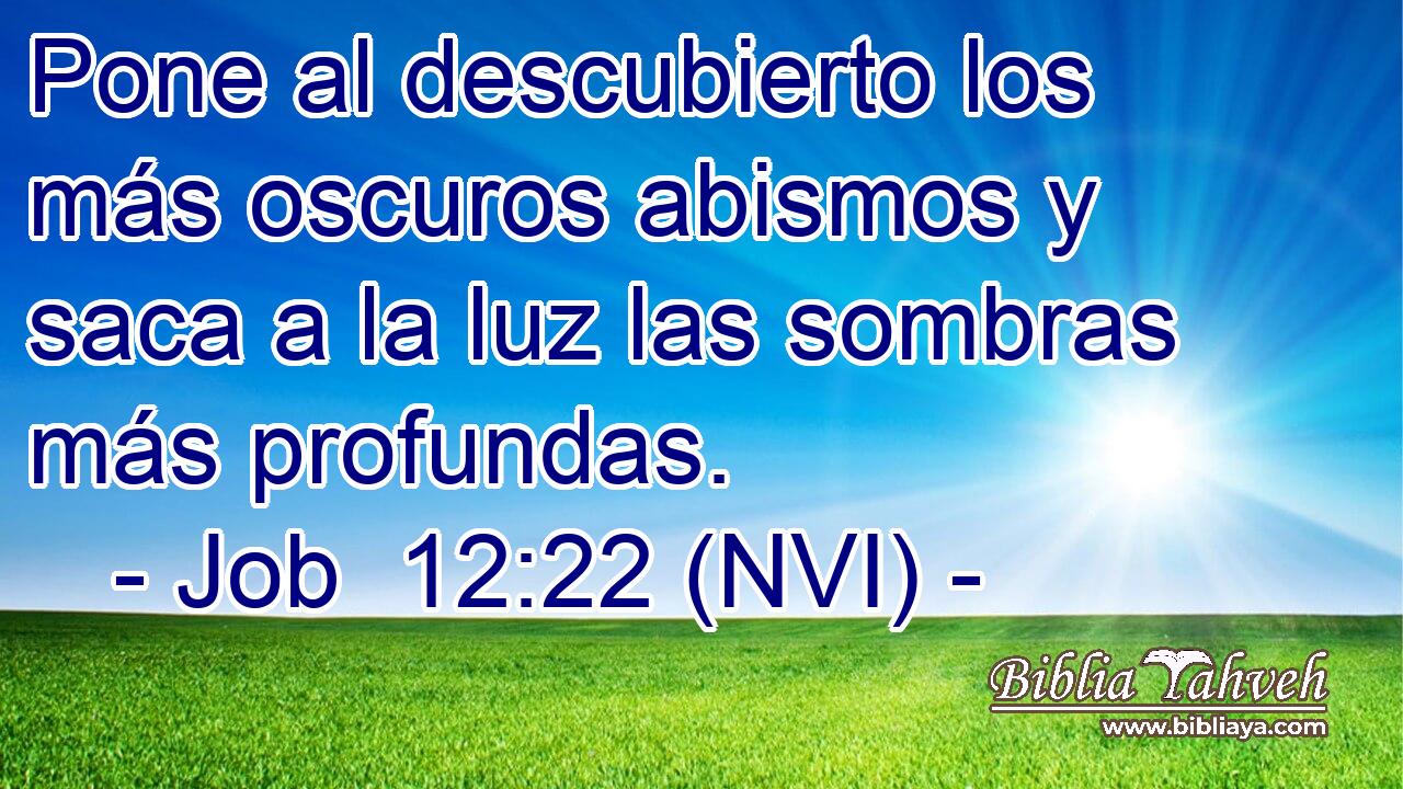  Pone al descubierto los más oscuros abismos y saca a la luz las sombras más profundas. 