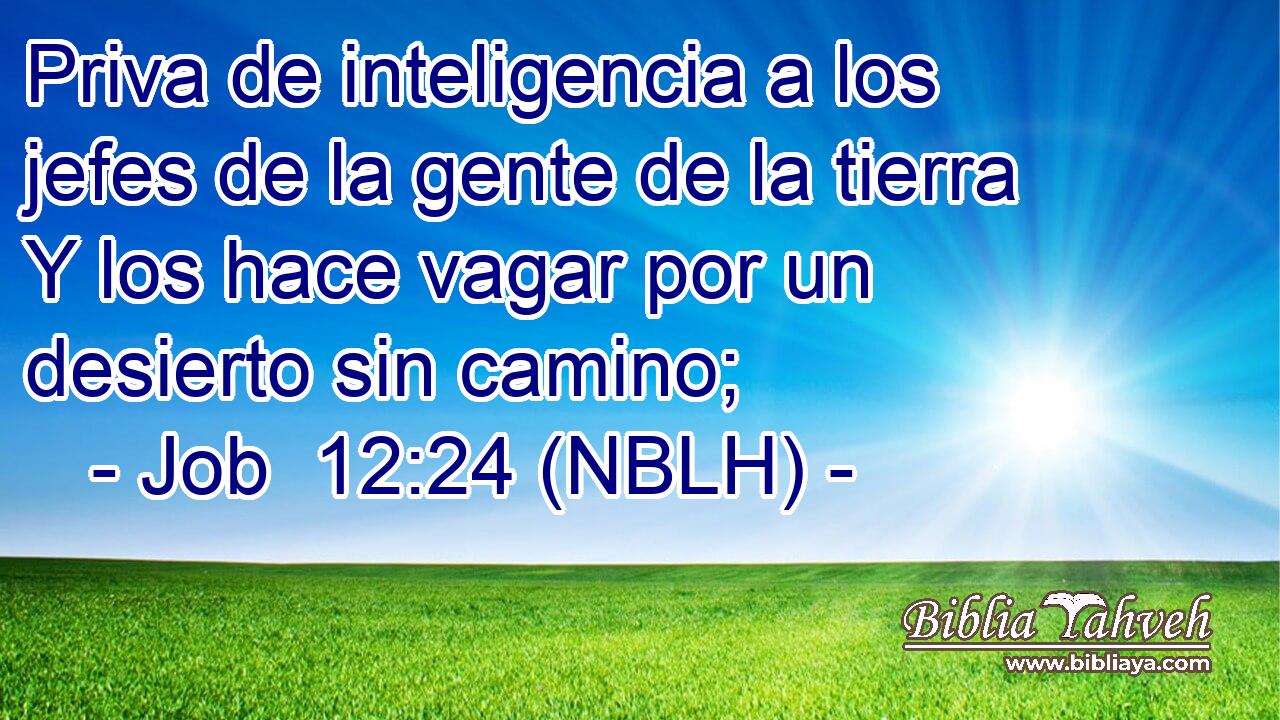  Priva de inteligencia a los jefes de la gente de la tierra Y los hace vagar por un desierto sin camino; 
