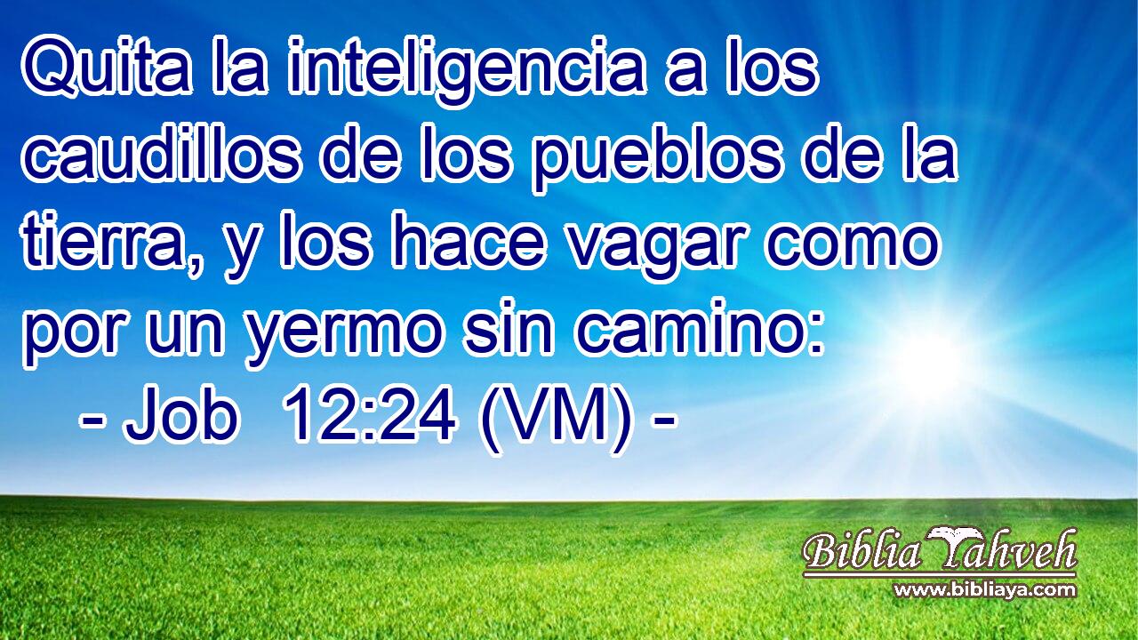  Quita la inteligencia a los caudillos de los pueblos de la tierra, y los hace vagar como por un yermo sin camino: 