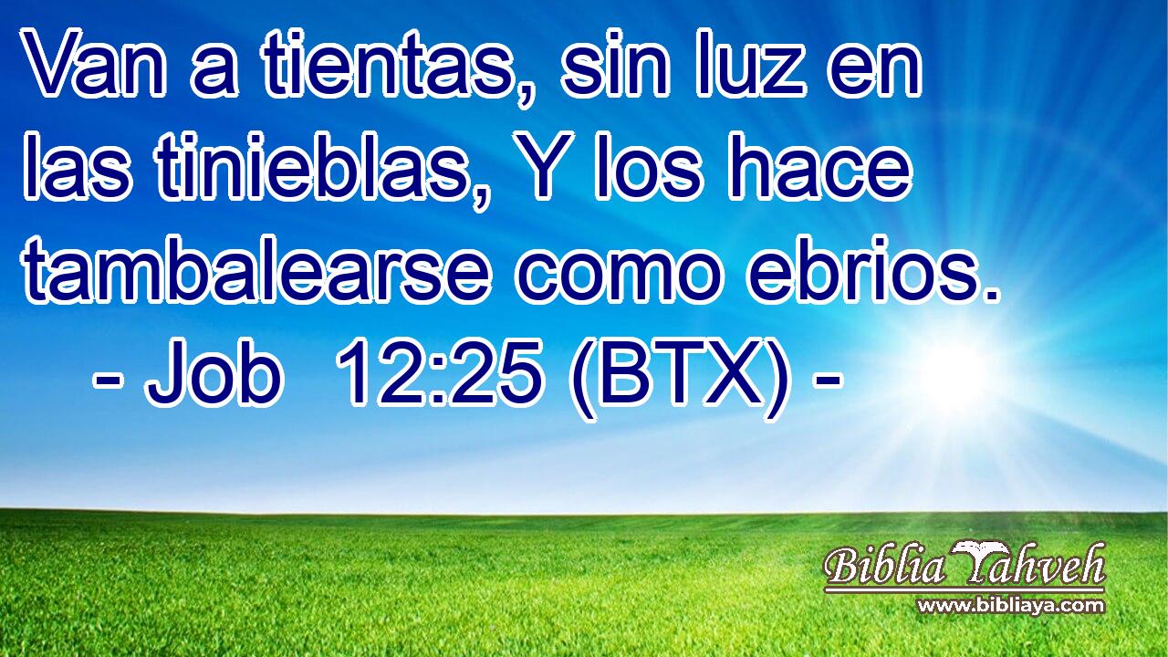 Van a tientas, sin luz en las tinieblas, Y los hace tambalearse como ebrios.
