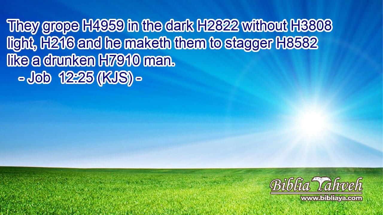 They grope H4959 in the dark H2822 without H3808 light, H216 and he maketh them to stagger H8582 like a drunken H7910 man.