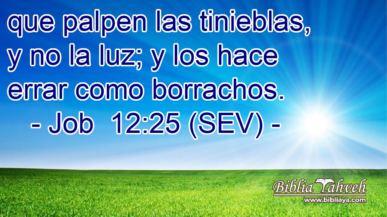 que palpen las tinieblas, y no la luz; y los hace errar como borrachos.