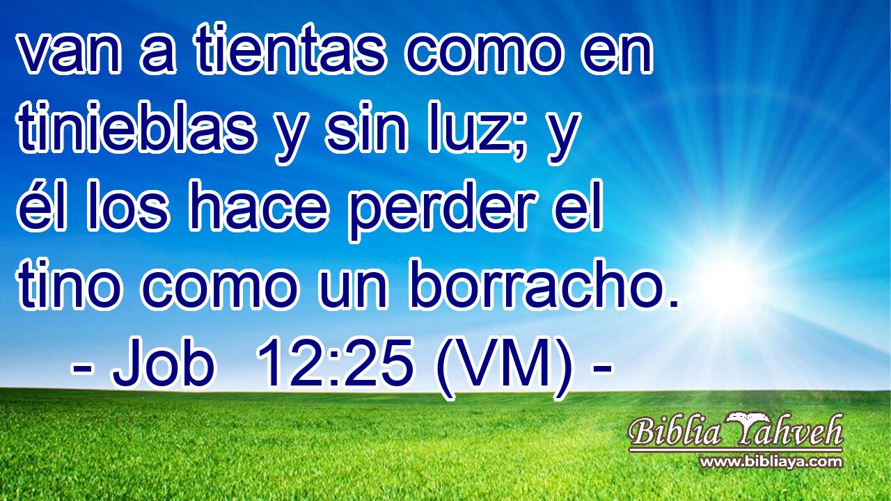 van a tientas como en tinieblas y sin luz; y él los hace perder el tino como un borracho. 