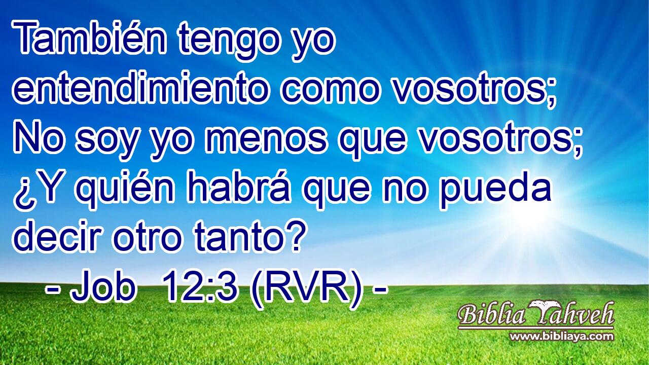 También tengo yo entendimiento como vosotros; No soy yo menos que vosotros; ¿Y quién habrá que no pueda decir otro tanto?