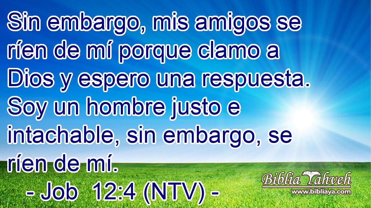 Sin embargo, mis amigos se ríen de mí porque clamo a Dios y espero una respuesta. Soy un hombre justo e intachable, sin embargo, se ríen de mí.
