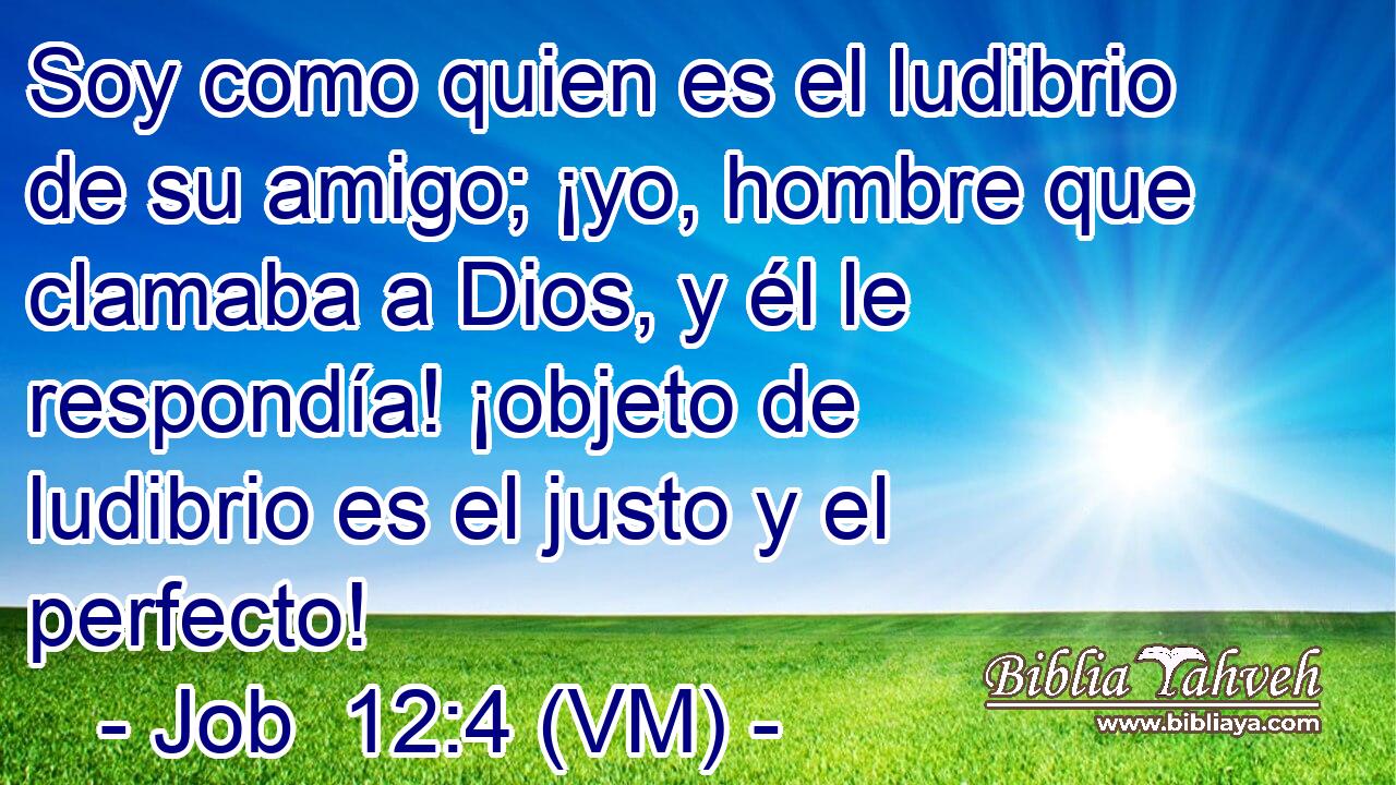  Soy como quien es el ludibrio de su amigo; ¡yo, hombre que clamaba a Dios, y él le respondía! ¡objeto de ludibrio es el justo y el perfecto! 