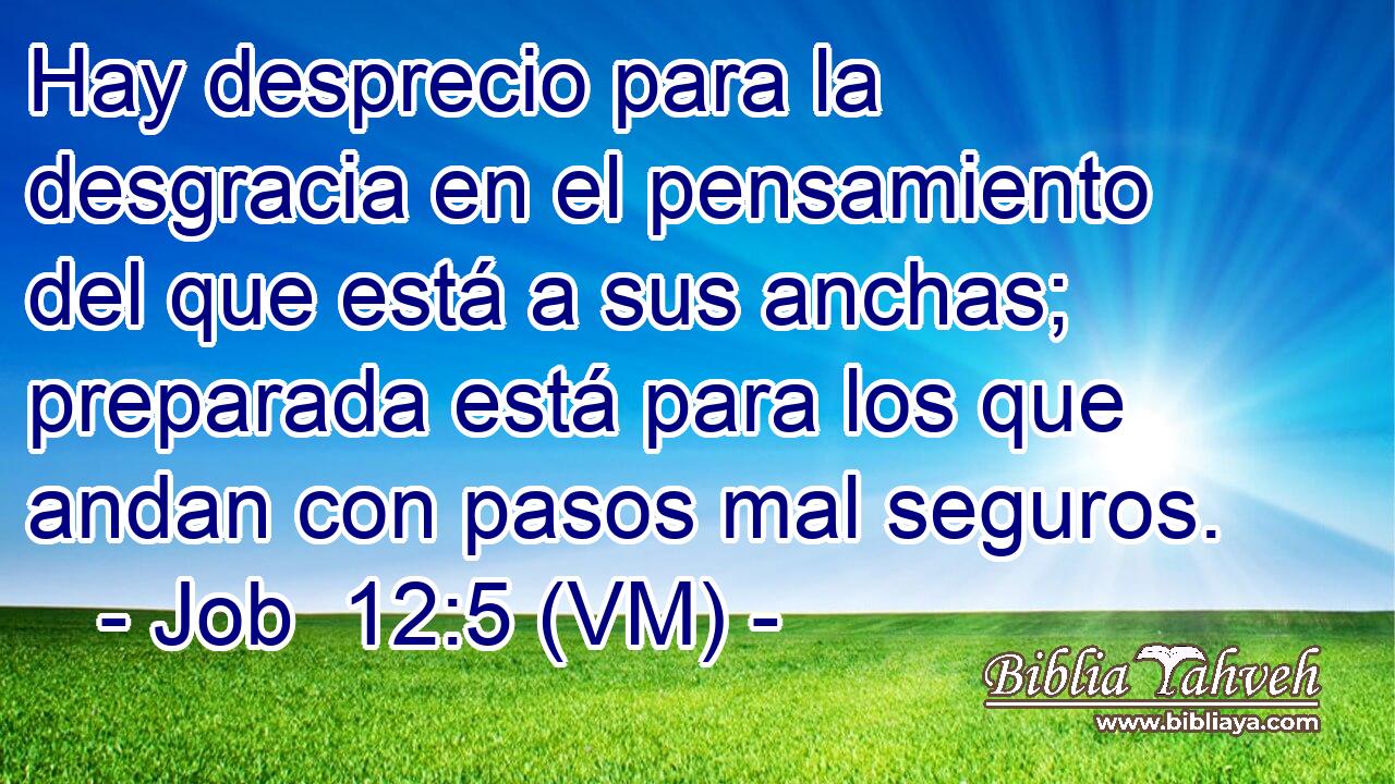  Hay desprecio para la desgracia en el pensamiento del que está a sus anchas; preparada está para los que andan con pasos mal seguros. 