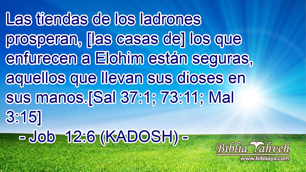  Las tiendas de los ladrones prosperan, [las casas de] los que enfurecen a Elohim están seguras, aquellos que llevan sus dioses en sus manos.[Sal 37:1; 73:11; Mal 3:15] 