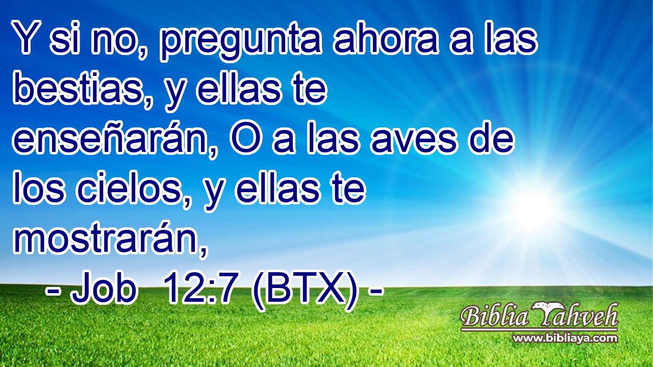 Y si no, pregunta ahora a las bestias, y ellas te enseñarán, O a las aves de los cielos, y ellas te mostrarán,