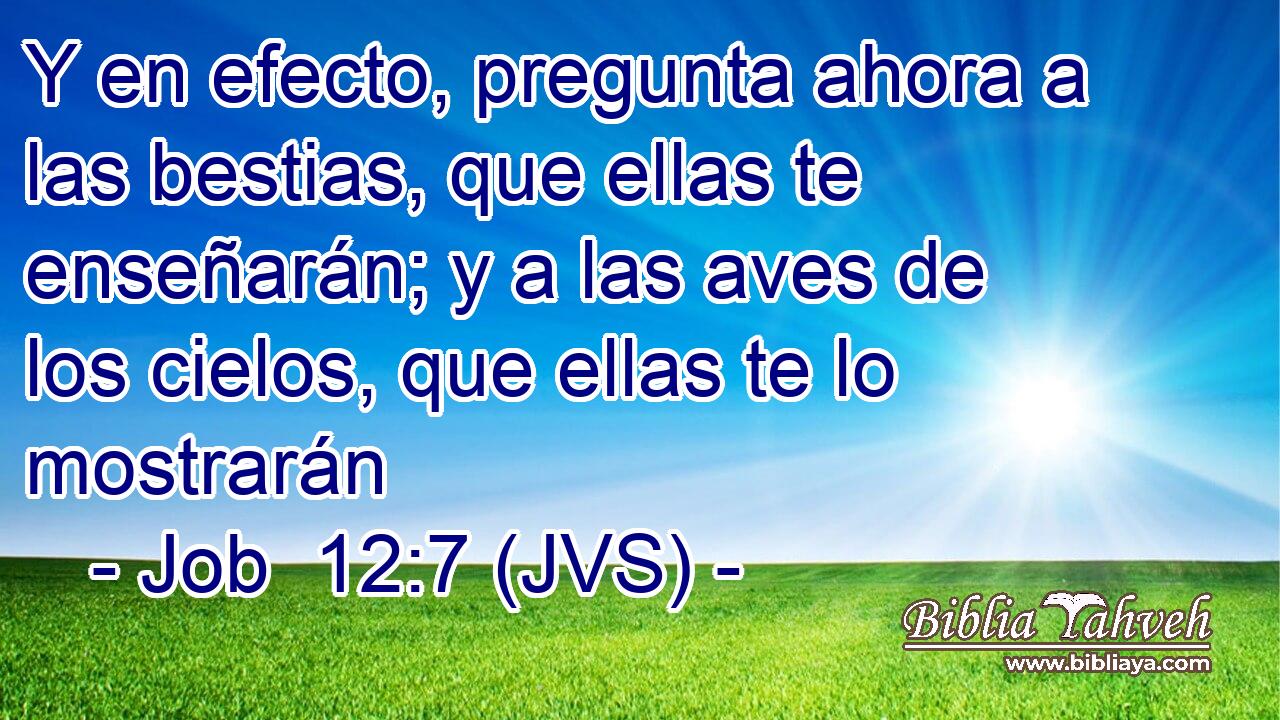Y en efecto, pregunta ahora a las bestias, que ellas te enseñarán; y a las aves de los cielos, que ellas te lo mostrarán