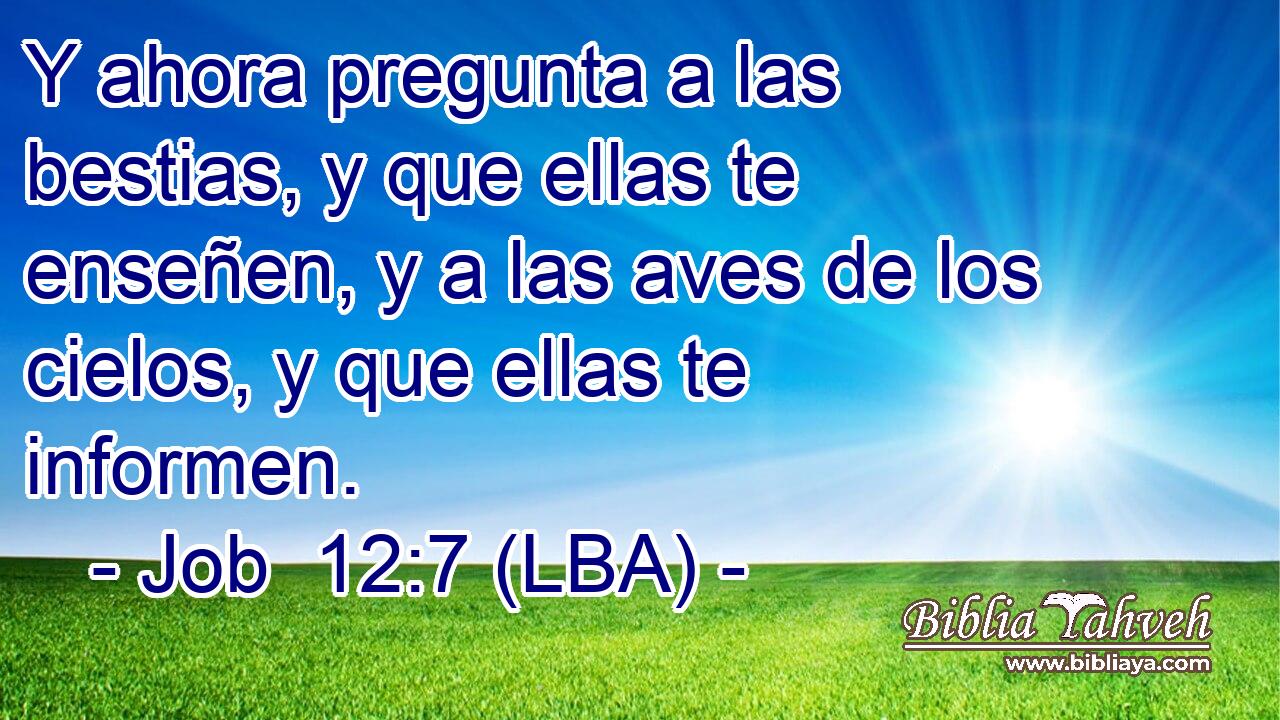 Y ahora pregunta a las bestias, y que ellas te enseñen, y a las aves de los cielos, y que ellas te informen.