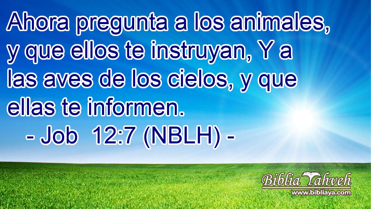  Ahora pregunta a los animales, y que ellos te instruyan, Y a las aves de los cielos, y que ellas te informen. 