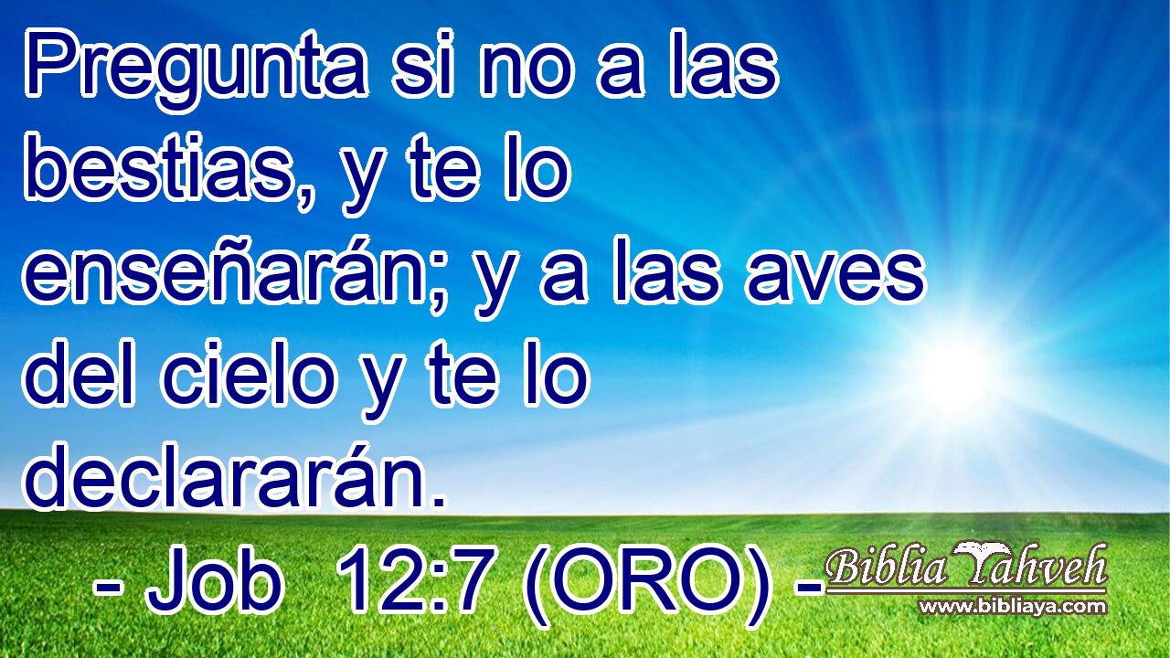  Pregunta si no a las bestias, y te lo enseñarán; y a las aves del cielo y te lo declararán. 