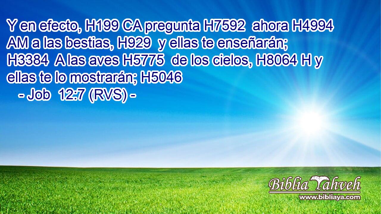 Y en efecto, H199 CA pregunta H7592  ahora H4994 AM a las bestias, H929  y ellas te enseñarán; H3384  A las aves H5775  de los cielos, H8064 H y ellas te lo mostrarán; H5046  