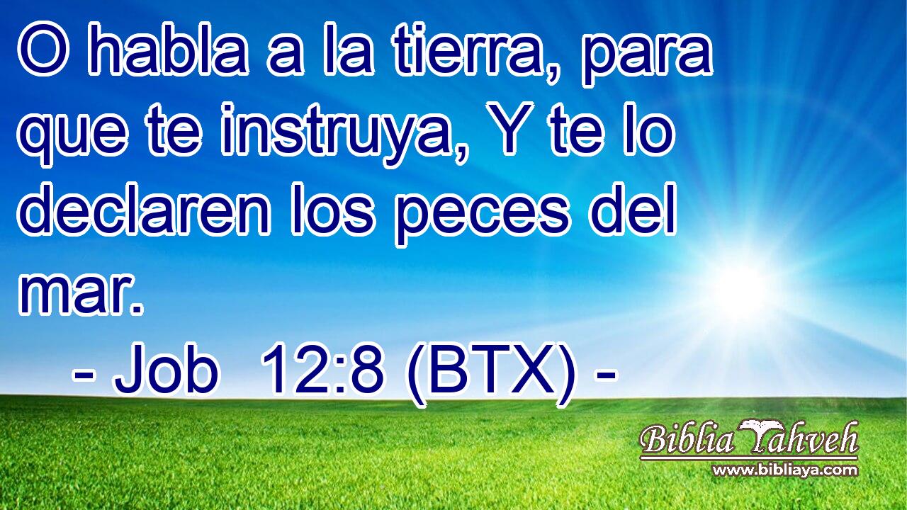 O habla a la tierra, para que te instruya, Y te lo declaren los peces del mar.