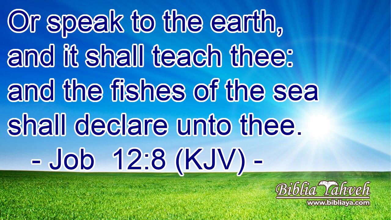 Or speak to the earth, and it shall teach thee: and the fishes of the sea shall declare unto thee.