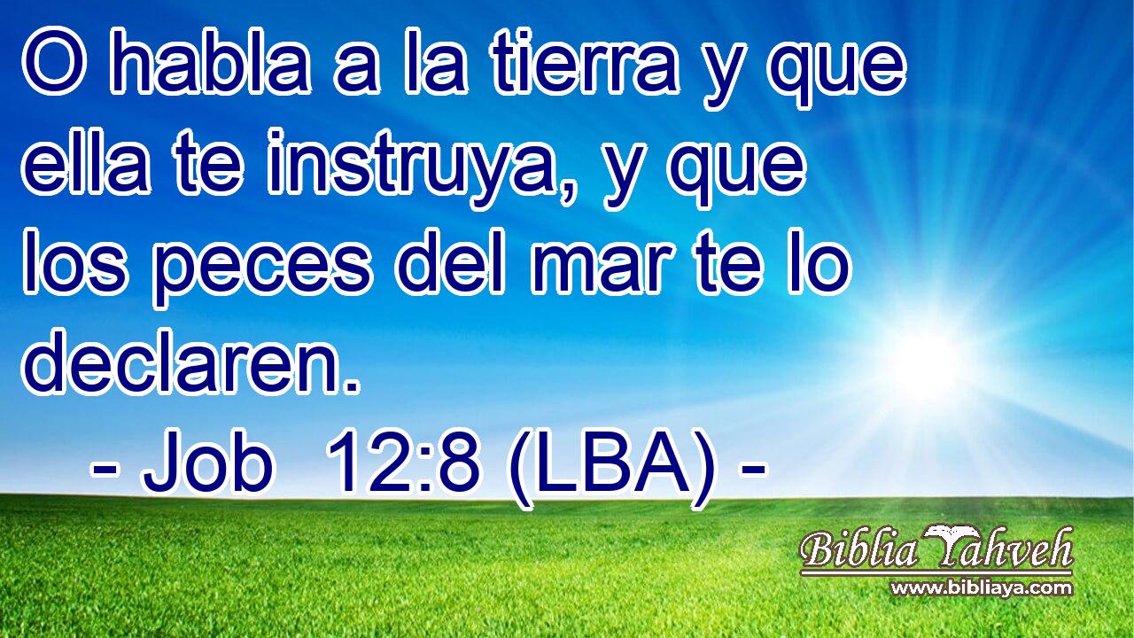 O habla a la tierra y que ella te instruya, y que los peces del mar te lo declaren.