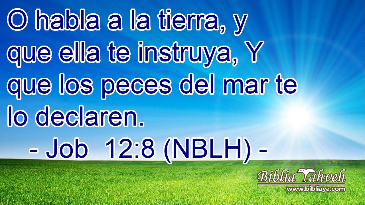  O habla a la tierra, y que ella te instruya, Y que los peces del mar te lo declaren. 