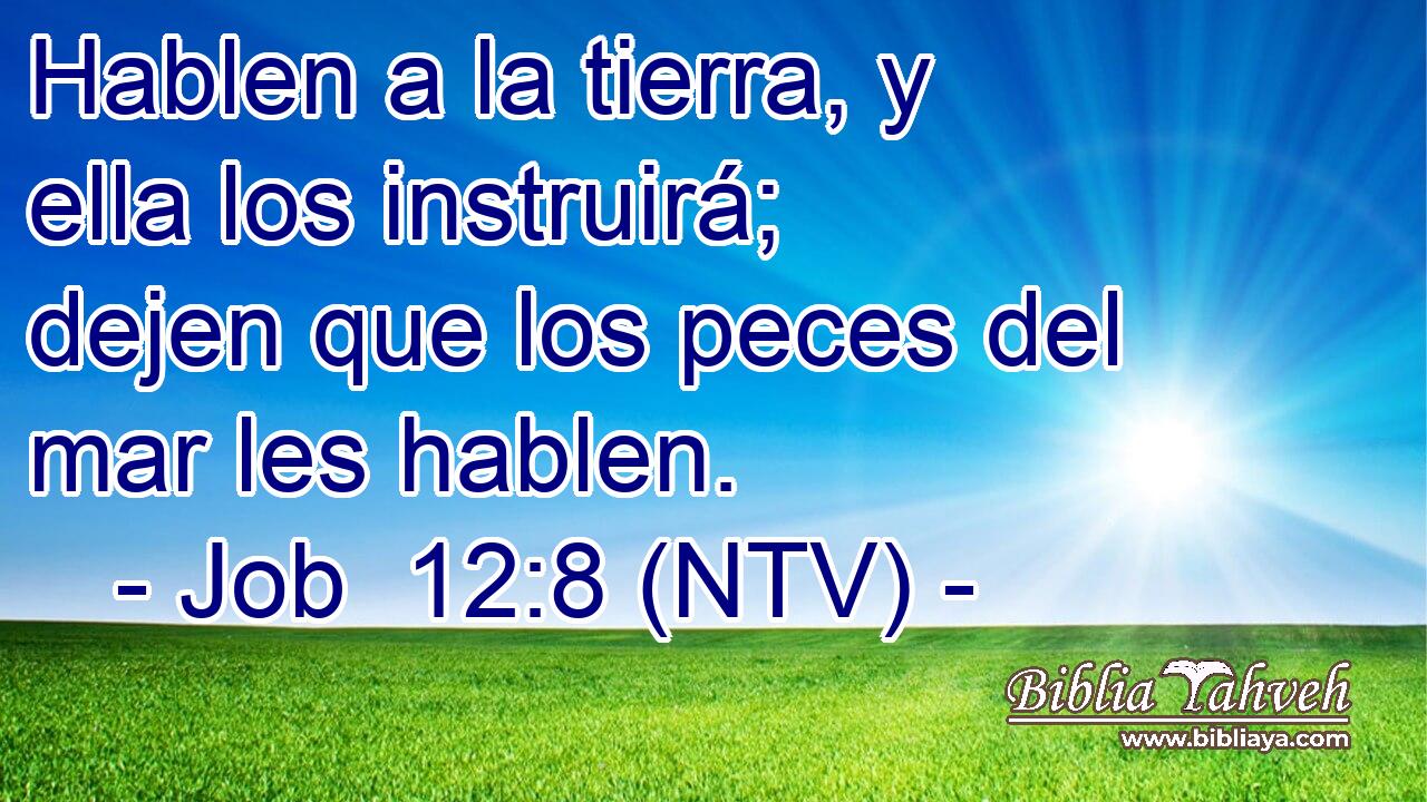 Hablen a la tierra, y ella los instruirá; dejen que los peces del mar les hablen.