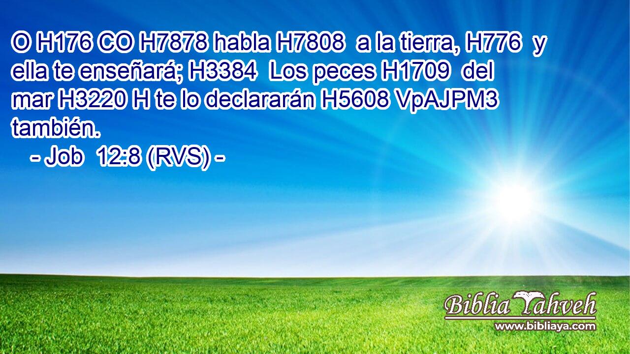O H176 CO H7878 habla H7808  a la tierra, H776  y ella te enseñará; H3384  Los peces H1709  del mar H3220 H te lo declararán H5608 VpAJPM3 también. 
