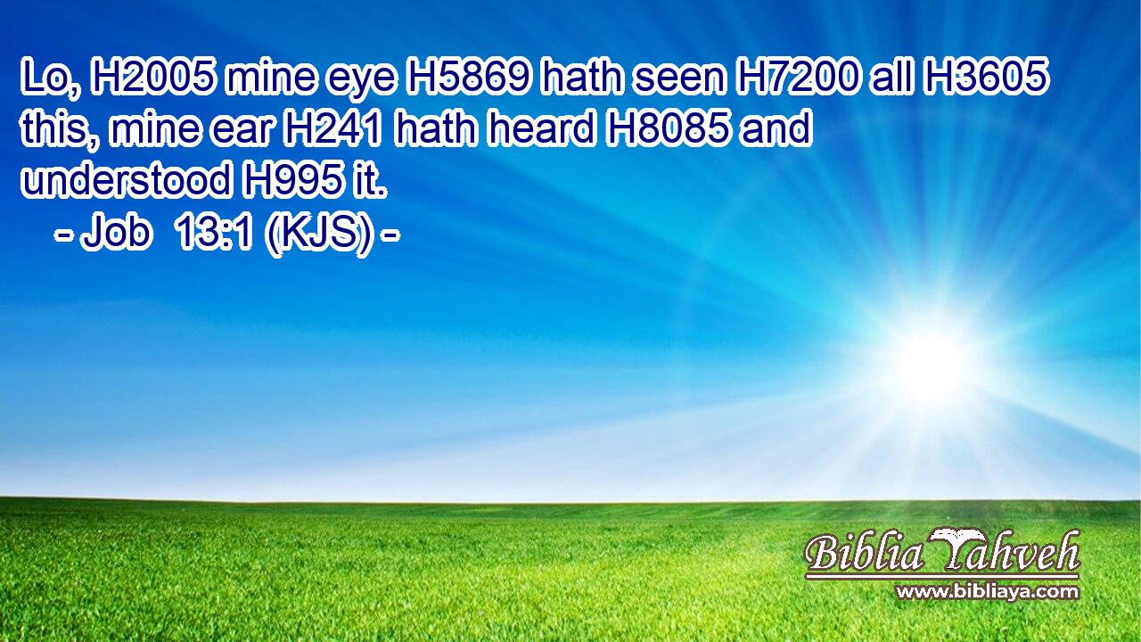 Lo, H2005 mine eye H5869 hath seen H7200 all H3605 this, mine ear H241 hath heard H8085 and understood H995 it.