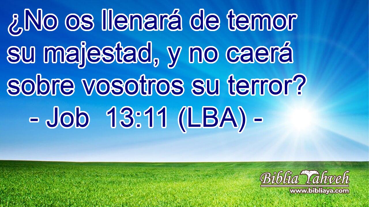 ¿No os llenará de temor su majestad, y no caerá sobre vosotros su terror?