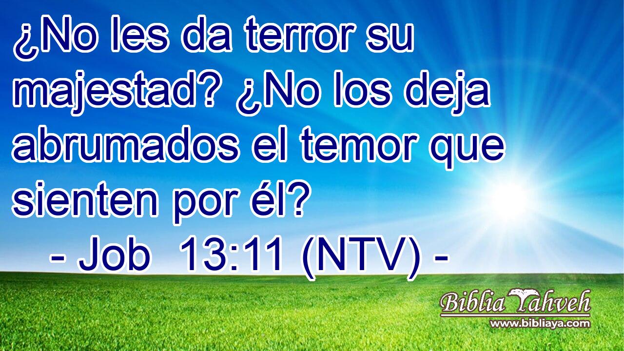 ¿No les da terror su majestad? ¿No los deja abrumados el temor que sienten por él?