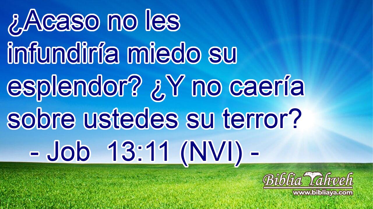  ¿Acaso no les infundiría miedo su esplendor? ¿Y no caería sobre ustedes su terror? 