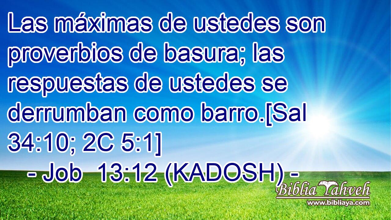  Las máximas de ustedes son proverbios de basura; las respuestas de ustedes se derrumban como barro.[Sal 34:10; 2C 5:1] 