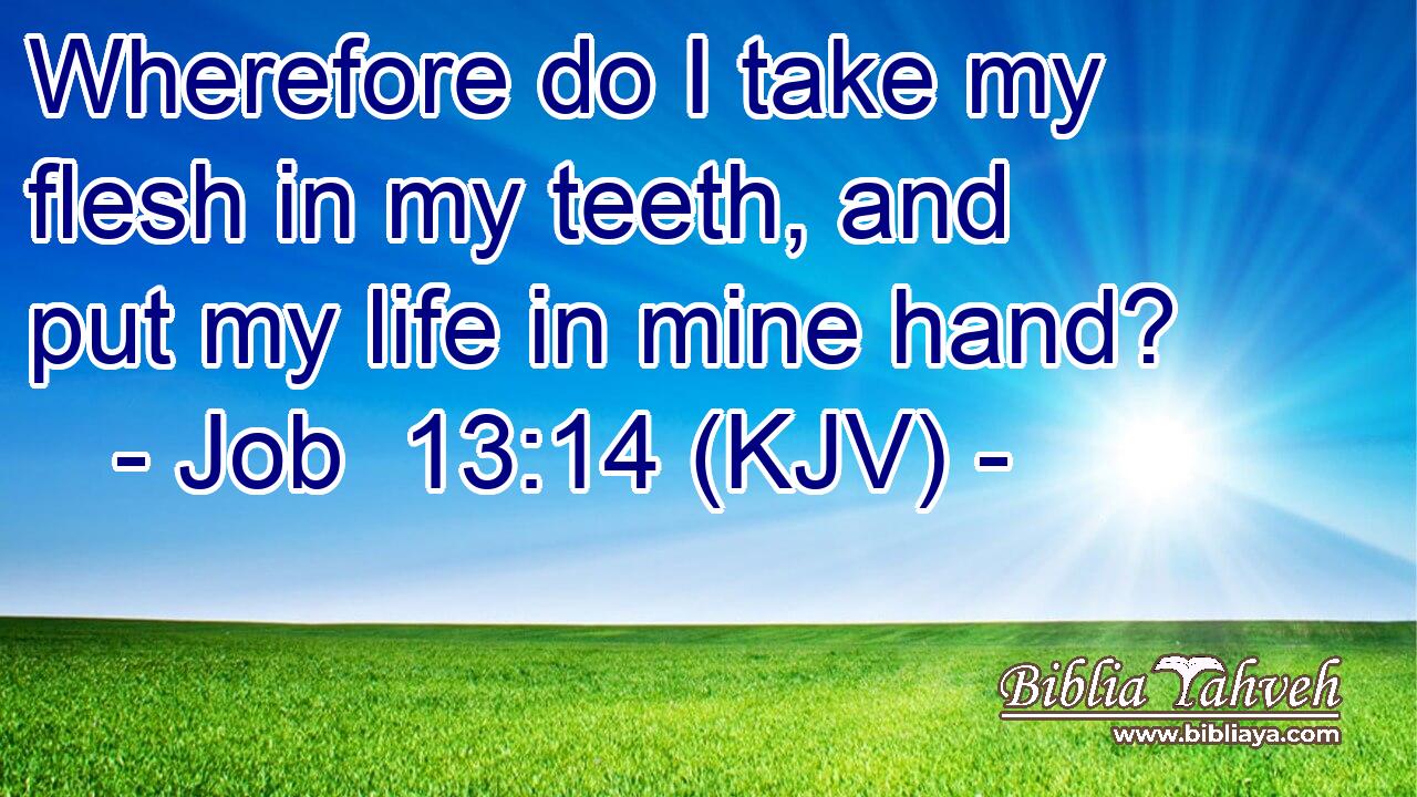 Wherefore do I take my flesh in my teeth, and put my life in mine hand?