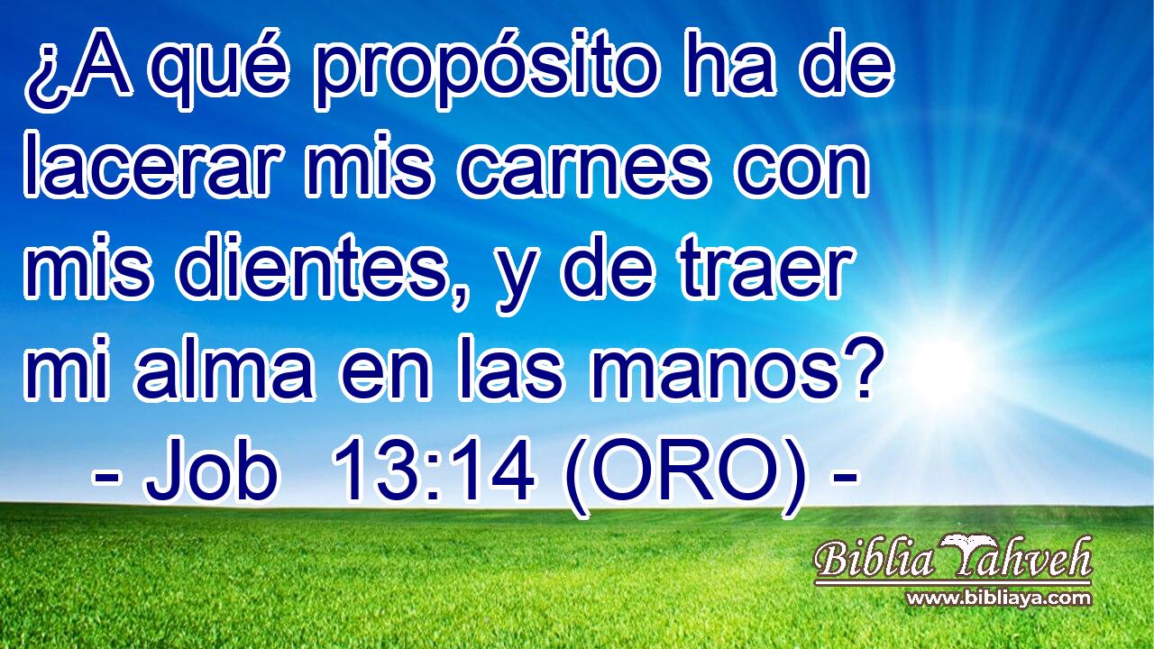  ¿A qué propósito ha de lacerar mis carnes con mis dientes, y de traer mi alma en las manos? 