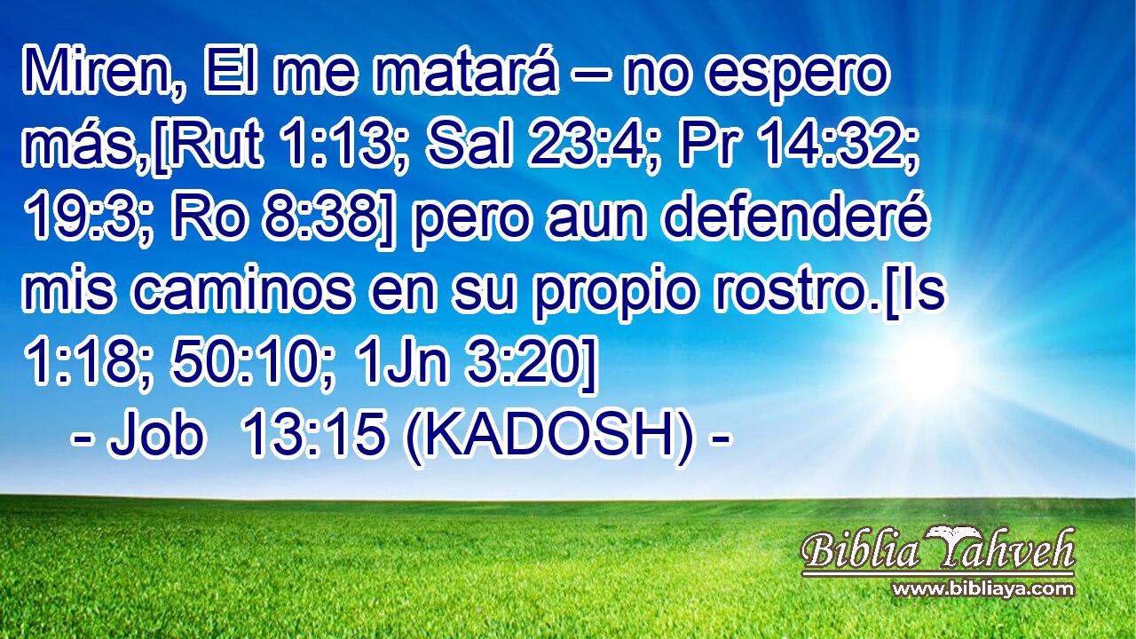  Miren, El me matará – no espero más,[Rut 1:13; Sal 23:4; Pr 14:32; 19:3; Ro 8:38] pero aun defenderé mis caminos en su propio rostro.[Is 1:18; 50:10; 1Jn 3:20] 