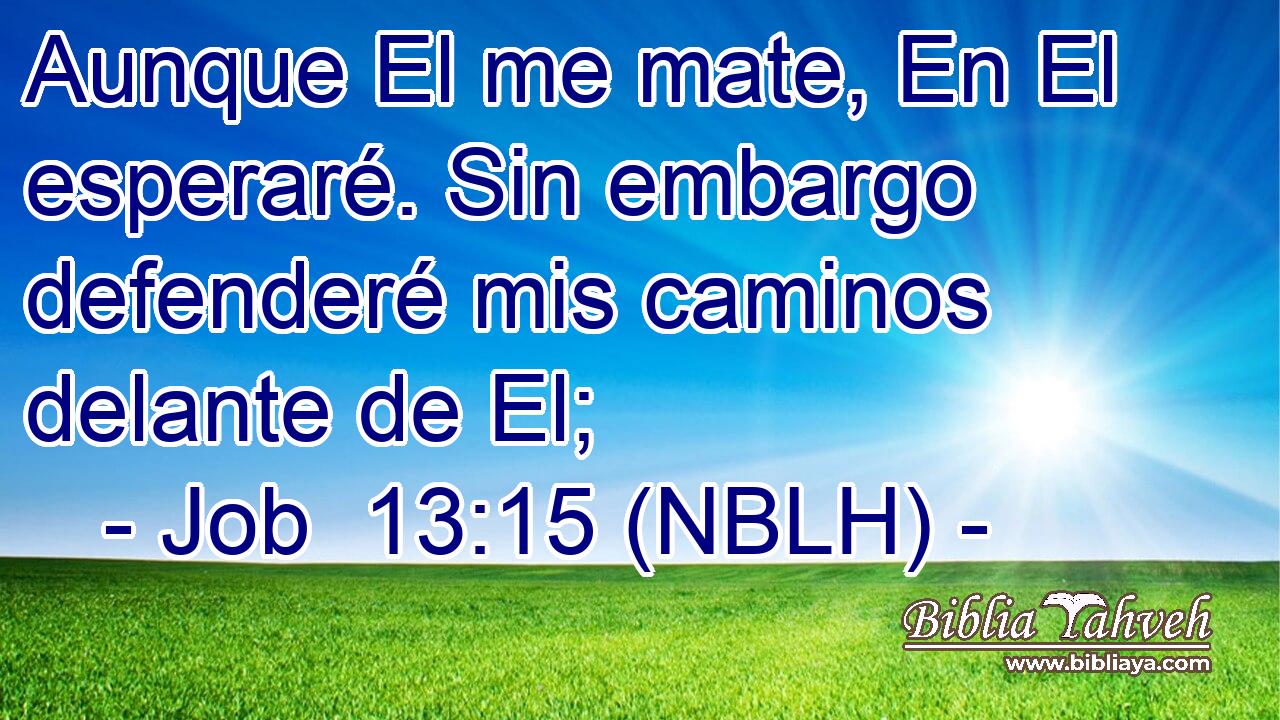  Aunque El me mate, En El esperaré. Sin embargo defenderé mis caminos delante de El; 