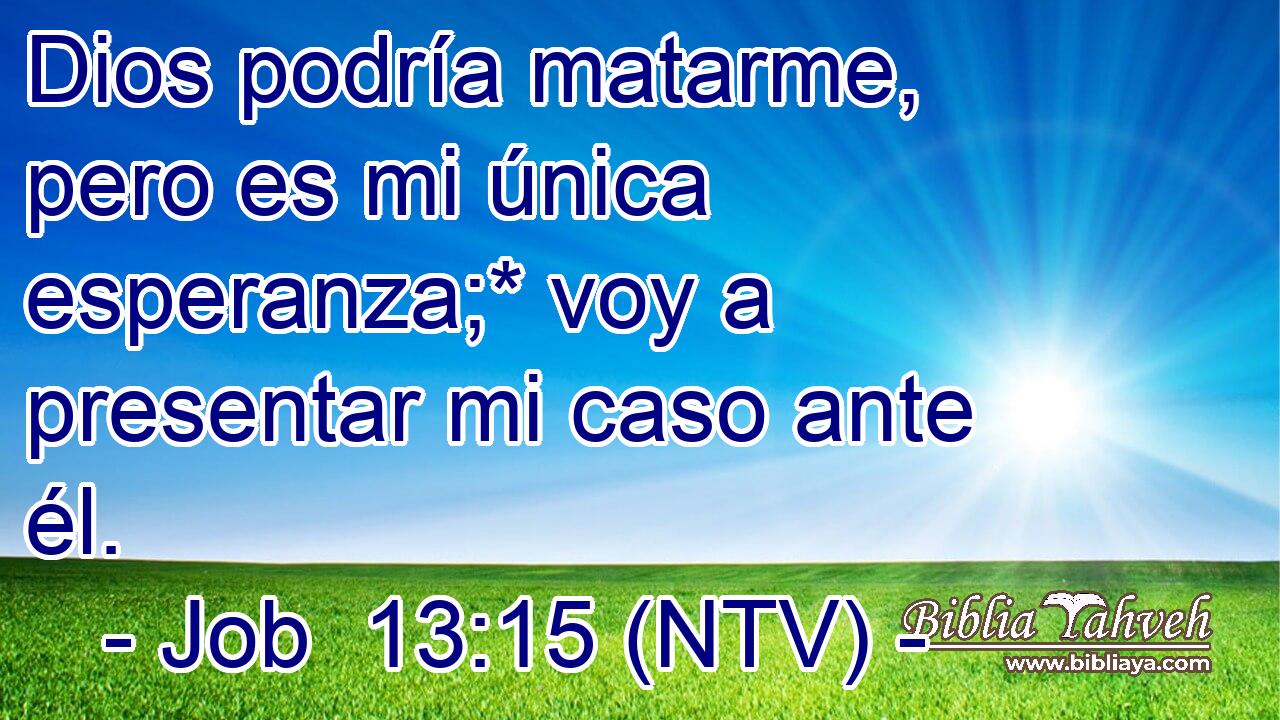 Dios podría matarme, pero es mi única esperanza;* voy a presentar mi caso ante él.