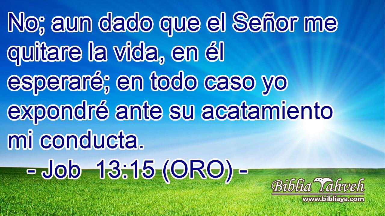  No; aun dado que el Señor me quitare la vida, en él esperaré; en todo caso yo expondré ante su acatamiento mi conducta. 