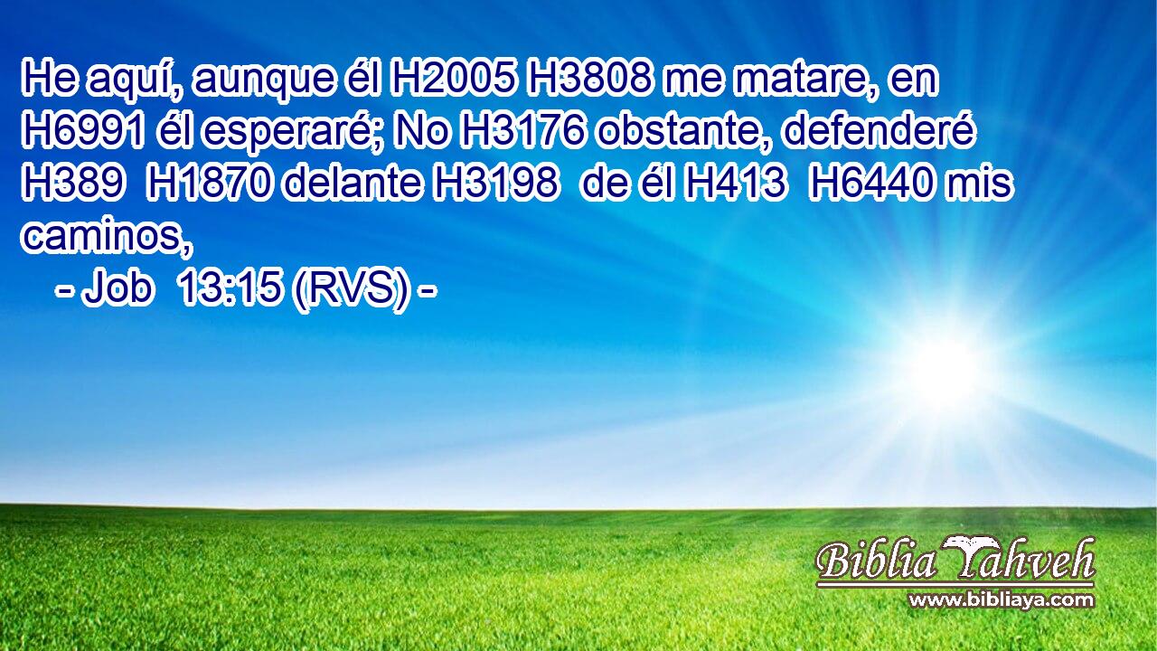 He aquí, aunque él H2005 H3808 me matare, en H6991 él esperaré; No H3176 obstante, defenderé H389  H1870 delante H3198  de él H413  H6440 mis caminos, 