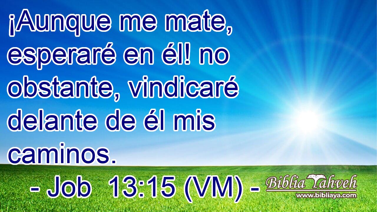  ¡Aunque me mate, esperaré en él! no obstante, vindicaré delante de él mis caminos. 