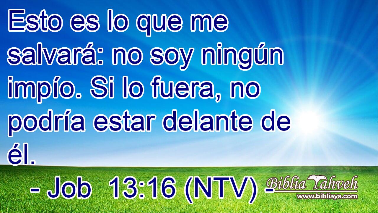 Esto es lo que me salvará: no soy ningún impío. Si lo fuera, no podría estar delante de él.