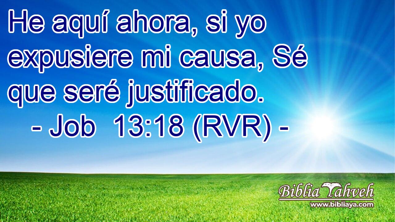 He aquí ahora, si yo expusiere mi causa, Sé que seré justificado.