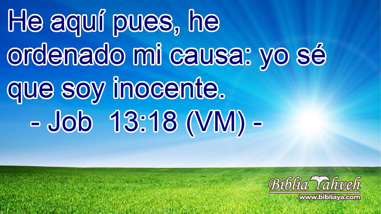  He aquí pues, he ordenado mi causa: yo sé que soy inocente. 