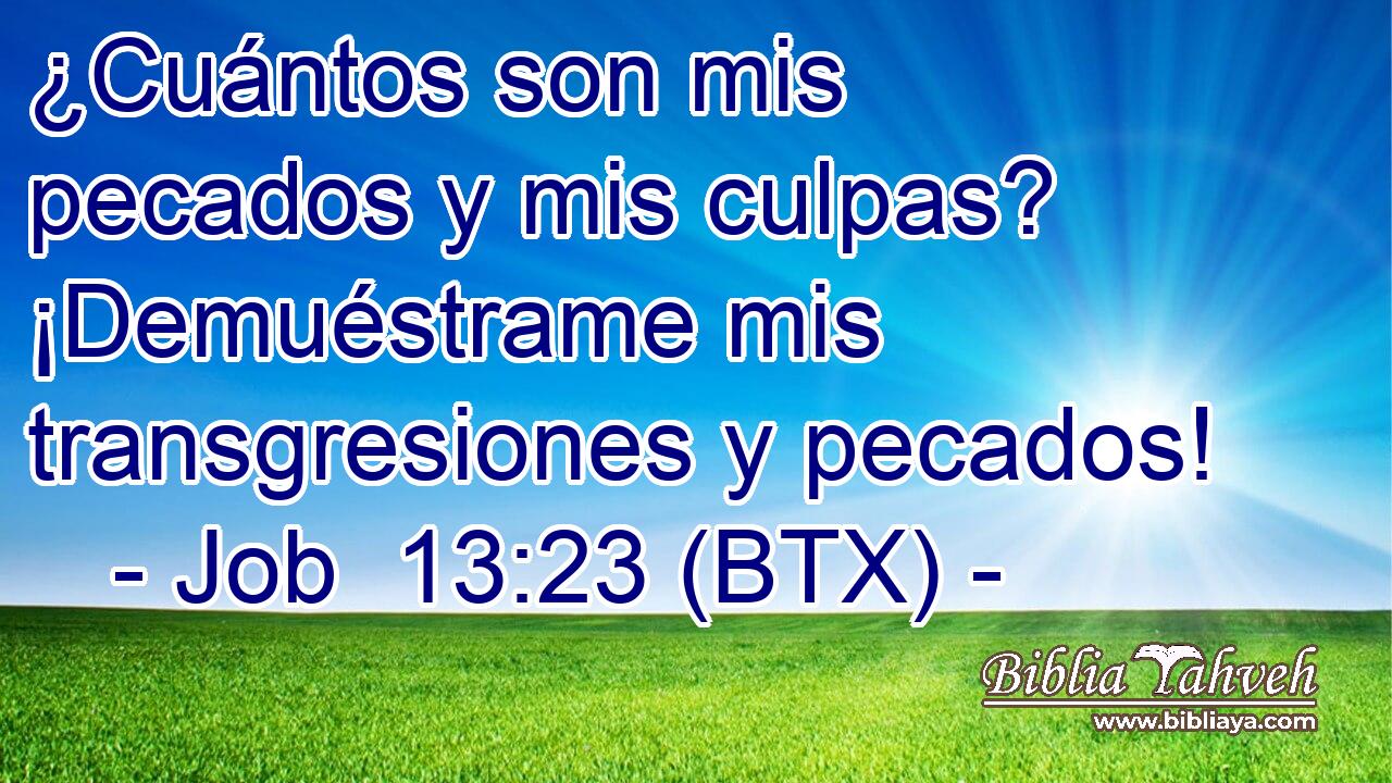 ¿Cuántos son mis pecados y mis culpas? ¡Demuéstrame mis transgresiones y pecados!