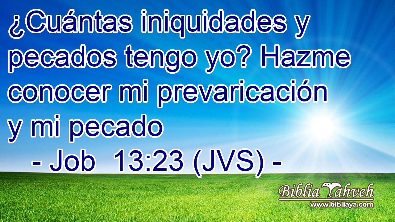 ¿Cuántas iniquidades y pecados tengo yo? Hazme conocer mi prevaricación y mi pecado