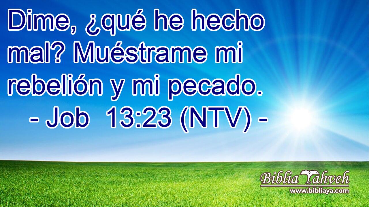 Dime, ¿qué he hecho mal? Muéstrame mi rebelión y mi pecado.