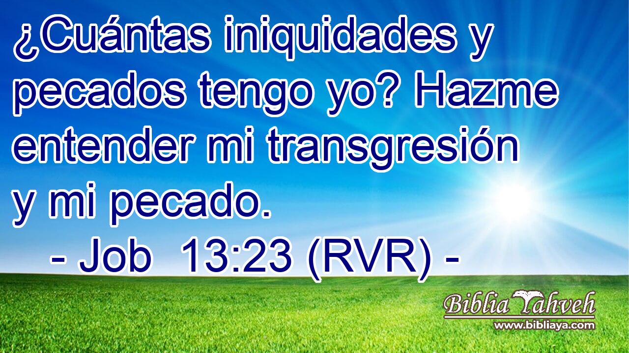 ¿Cuántas iniquidades y pecados tengo yo? Hazme entender mi transgresión y mi pecado.