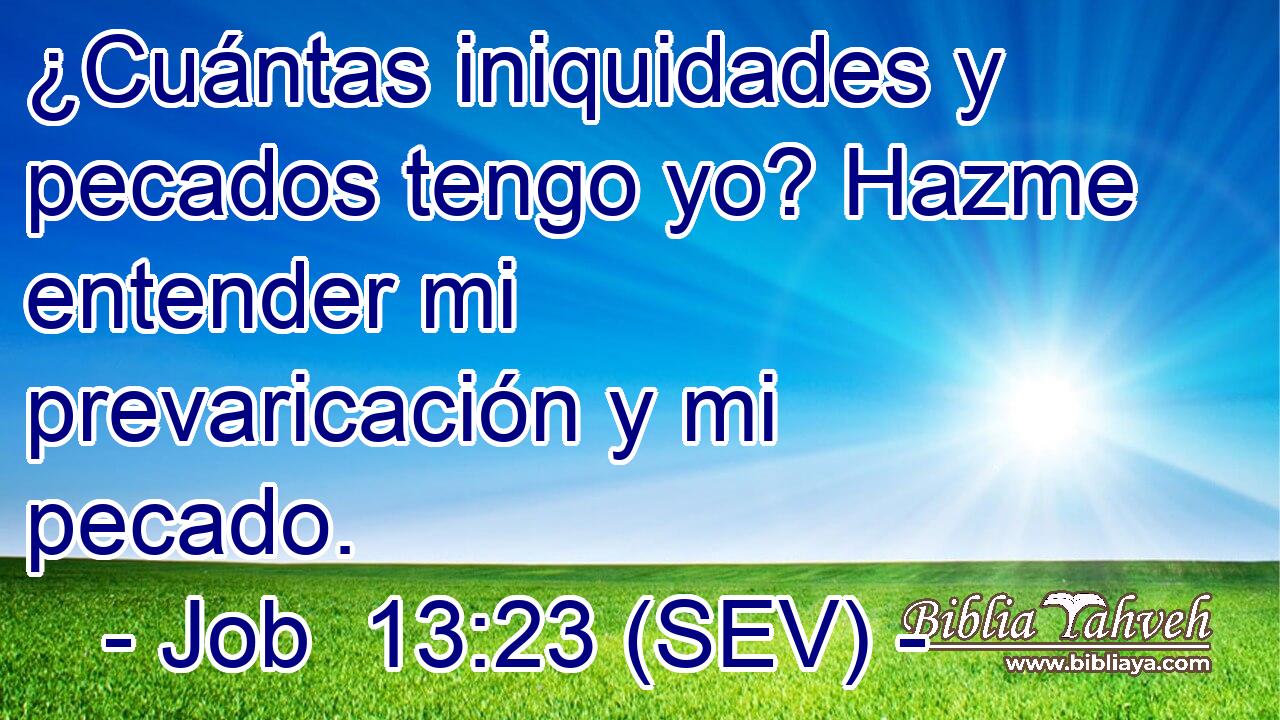 ¿Cuántas iniquidades y pecados tengo yo? Hazme entender mi prevaricación y mi pecado.