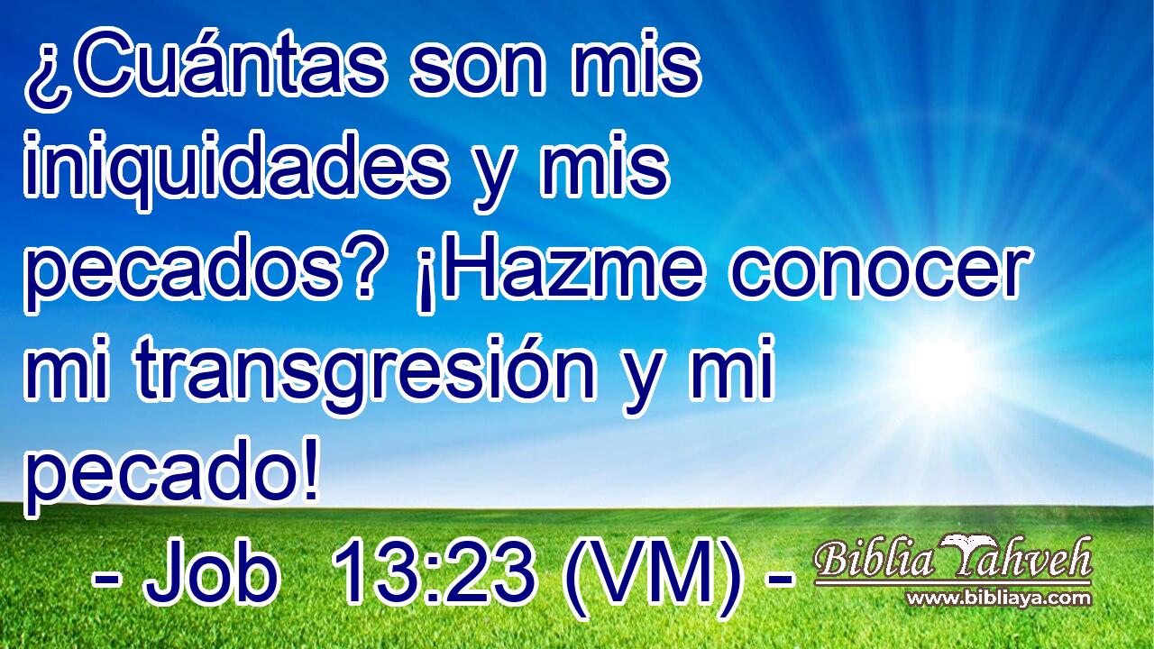  ¿Cuántas son mis iniquidades y mis pecados? ¡Hazme conocer mi transgresión y mi pecado! 