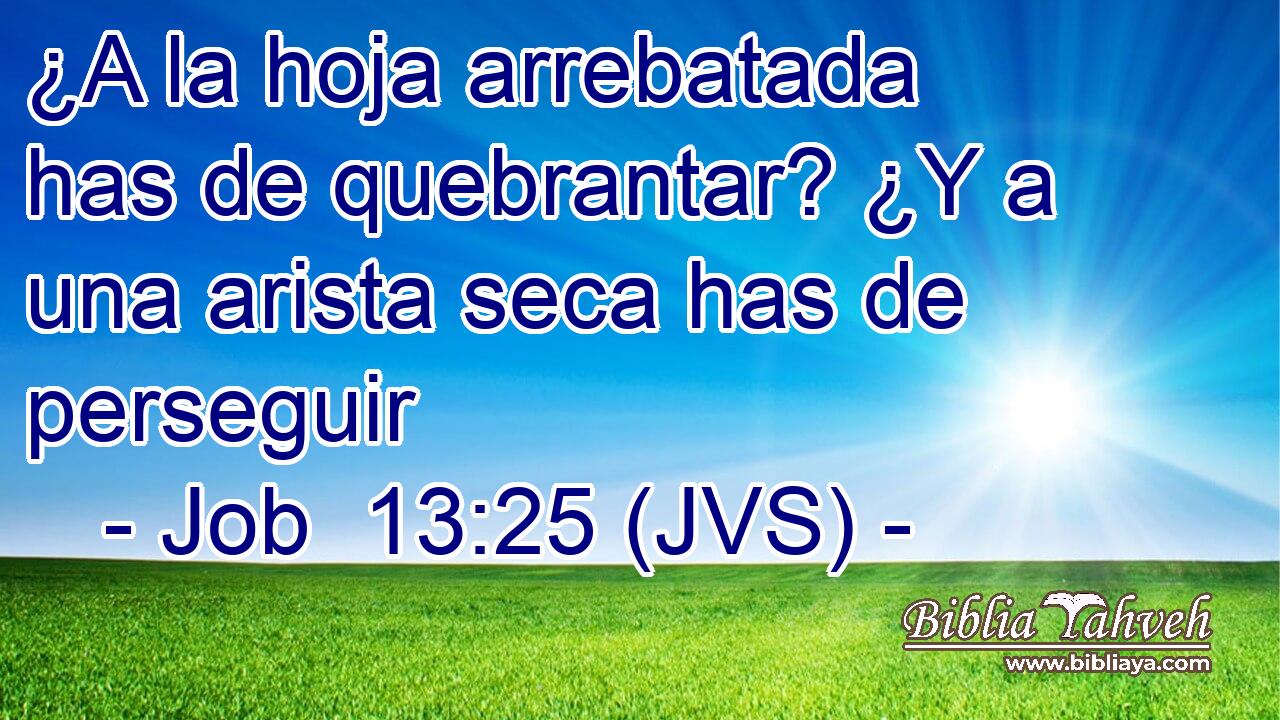 ¿A la hoja arrebatada has de quebrantar? ¿Y a una arista seca has de perseguir