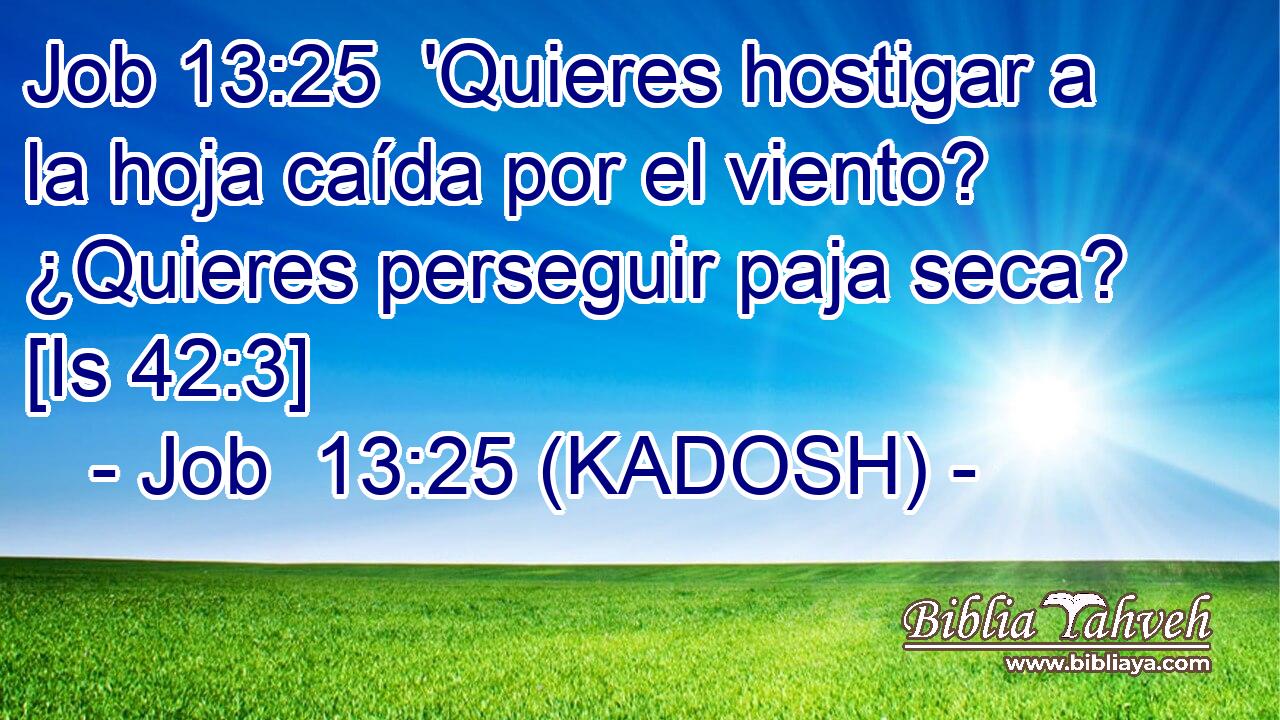 'Quieres hostigar a la hoja caída por el viento? ¿Quieres perseguir paja seca? [Is 42:3] 